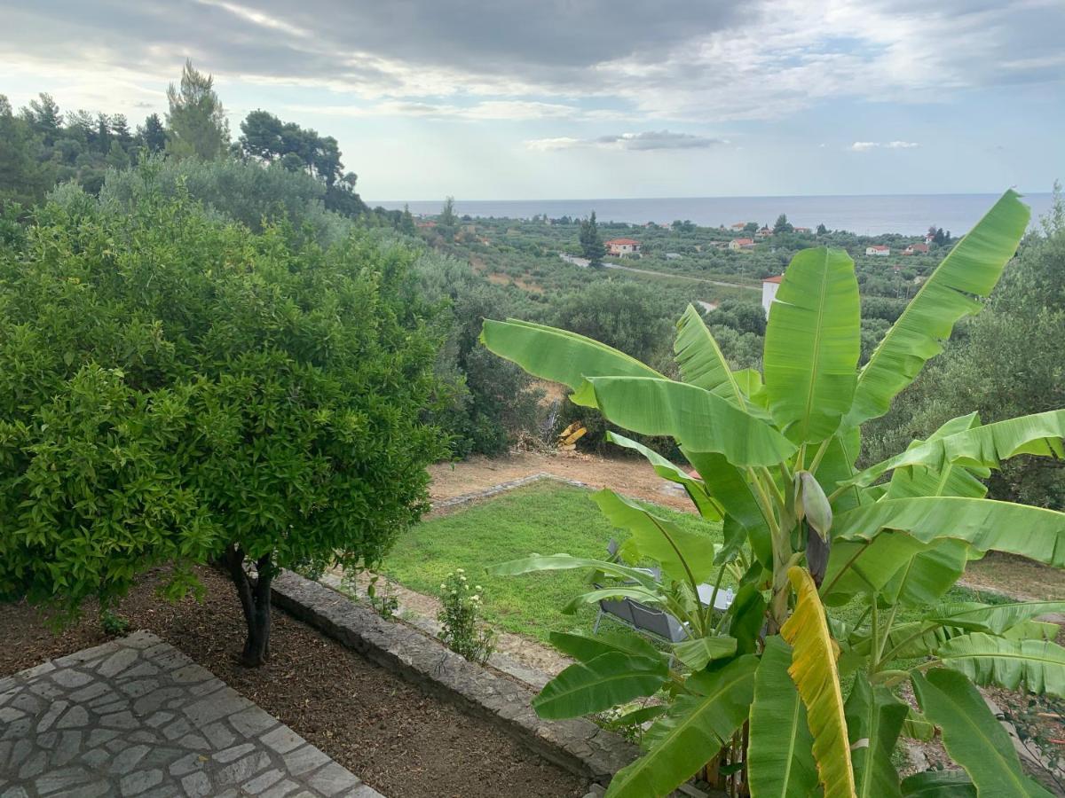 Olive Stone Villa Nea Skioni Bagian luar foto