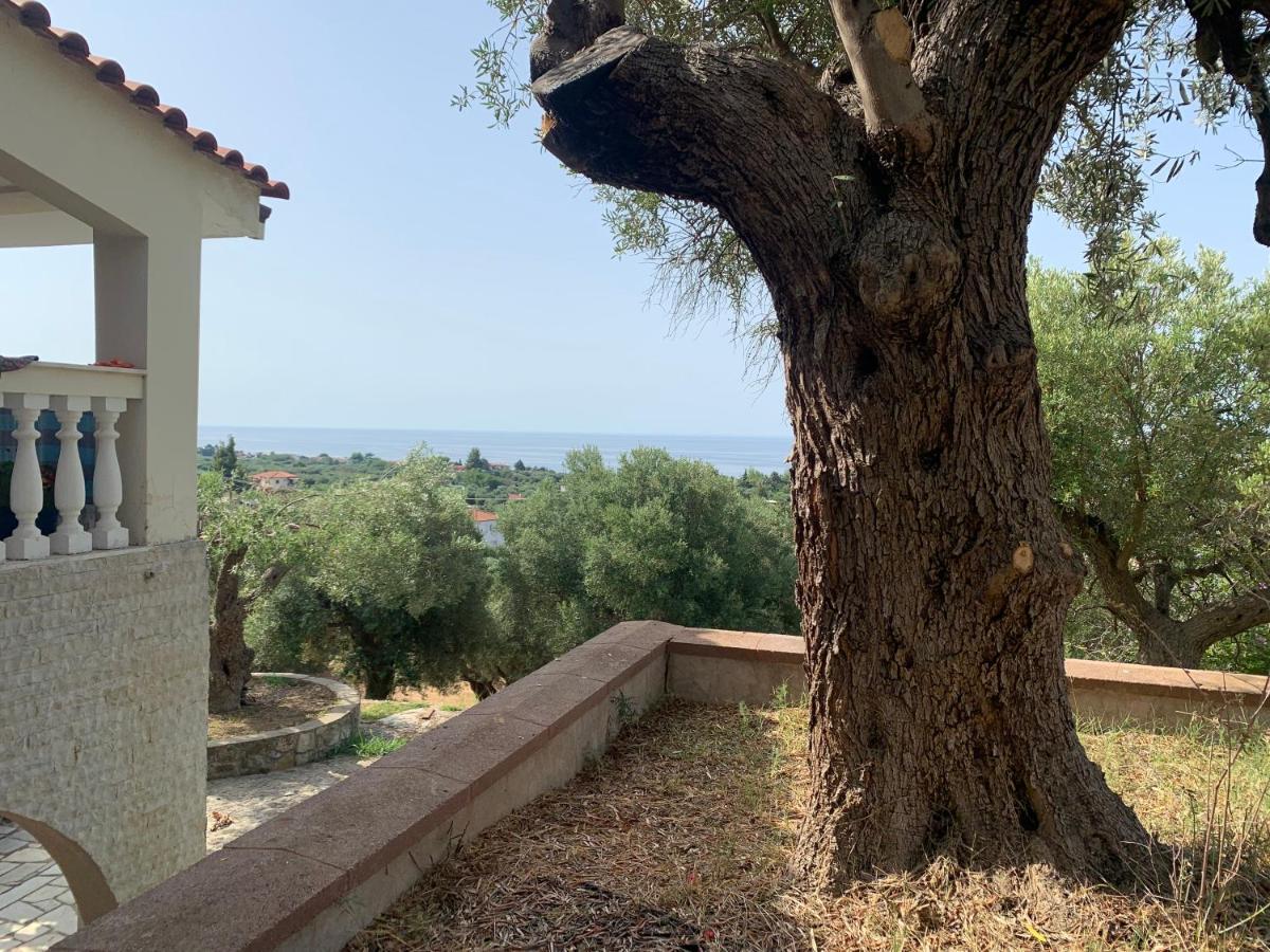 Olive Stone Villa Nea Skioni Bagian luar foto
