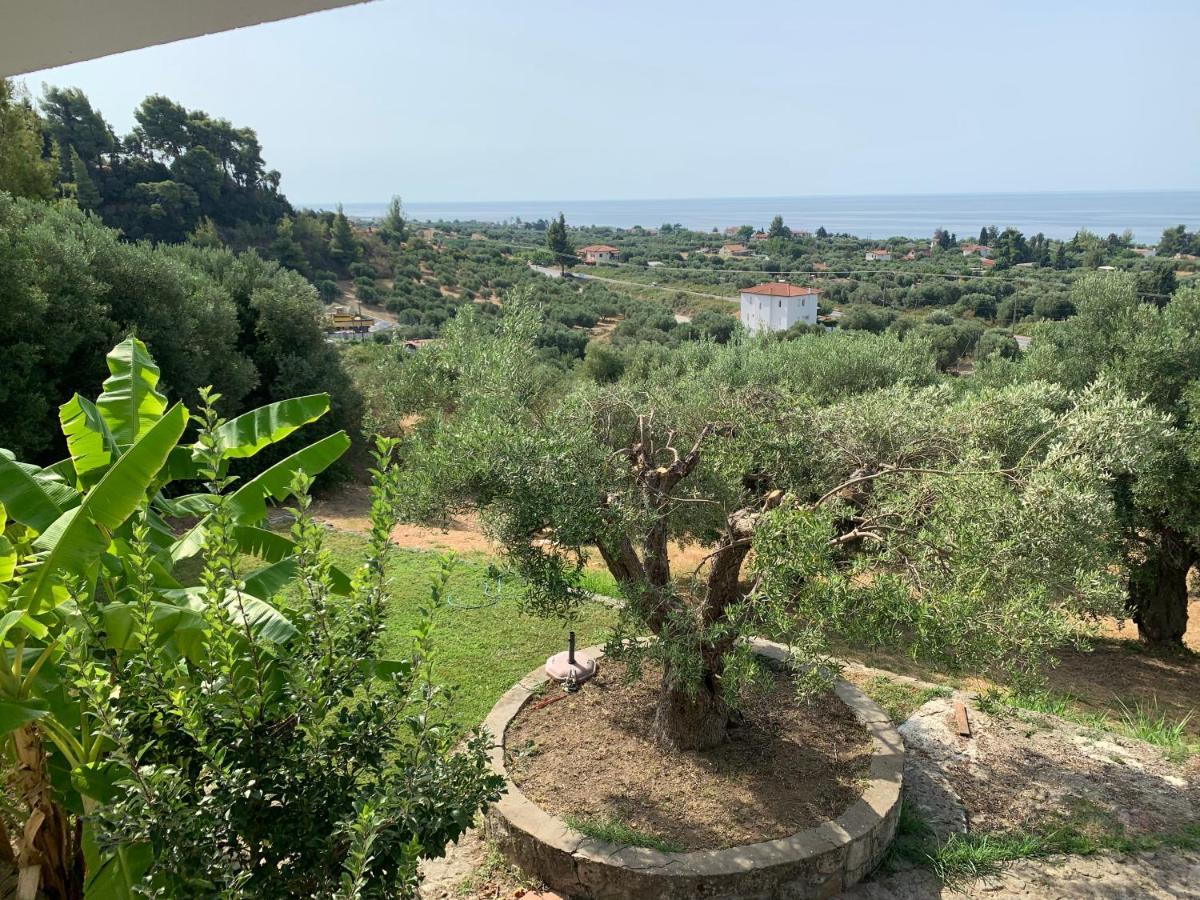 Olive Stone Villa Nea Skioni Bagian luar foto