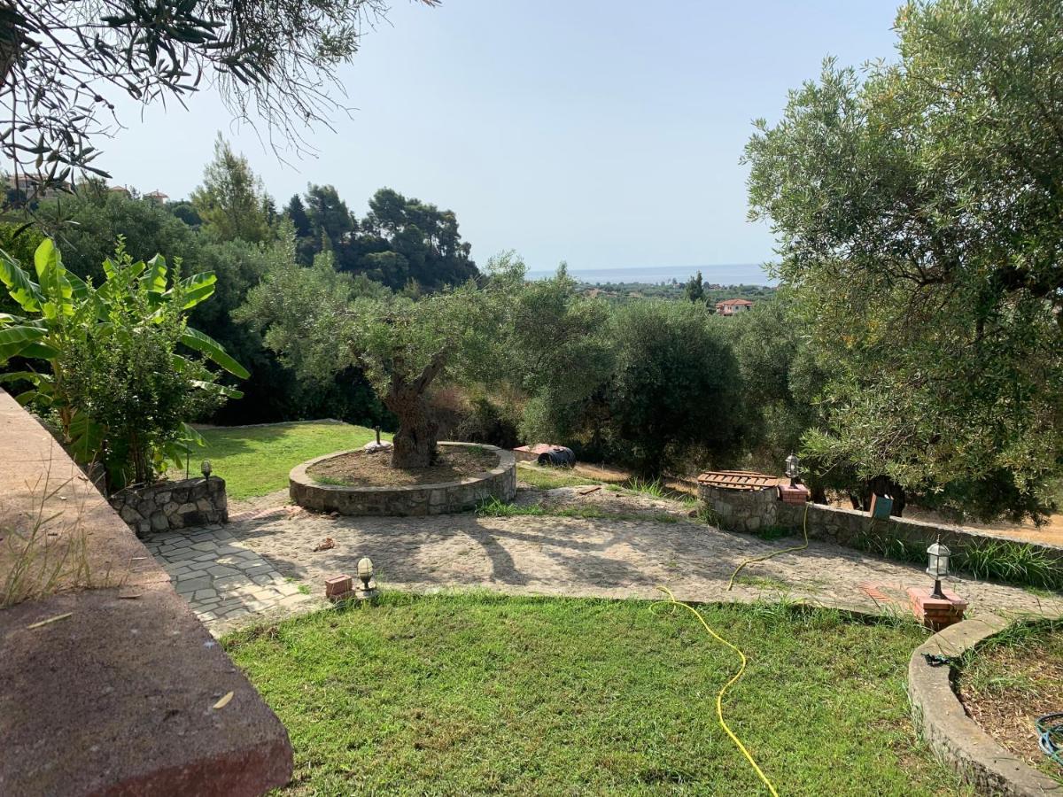 Olive Stone Villa Nea Skioni Bagian luar foto