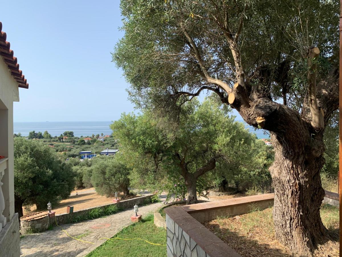 Olive Stone Villa Nea Skioni Bagian luar foto