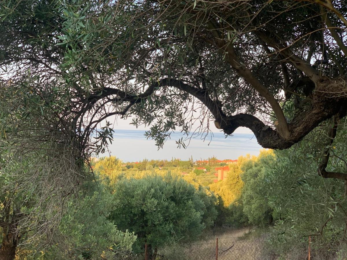 Olive Stone Villa Nea Skioni Bagian luar foto
